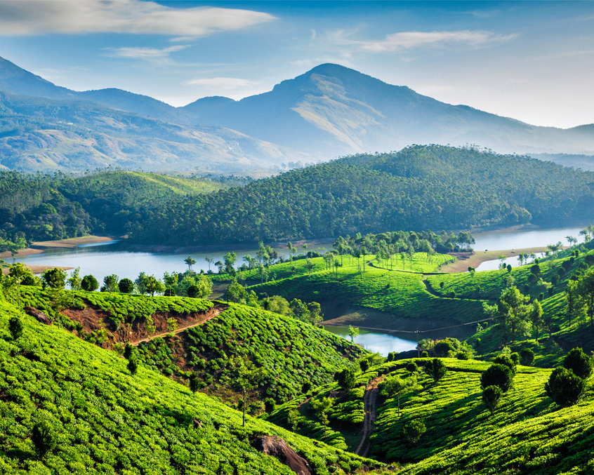 Munnar Retreat